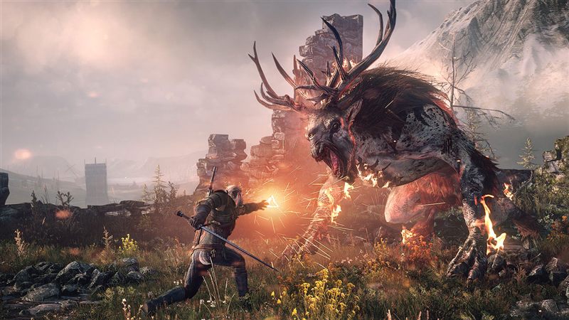 The Witcher 3: Wild Hunt — Ansicht 2